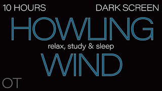 HOWLING WIND Sounds for Sleeping Relaxing Studying BLACK SCREEN Real Storm Sounds 10 HOURS [upl. by Halyk]