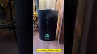 6L Humidifiers for Bedroom Large Room Home [upl. by Sirref]