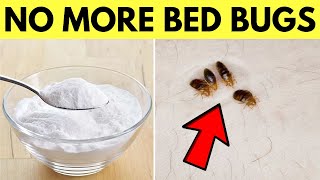 Use Baking Soda to Get Rid Of Bed Bugs Naturally and Permanently In One Day [upl. by Allecsirp]