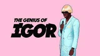 The Genius of IGOR [upl. by Enylorac629]