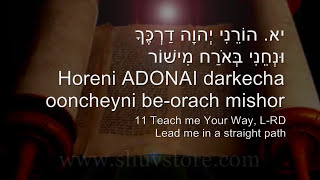 quotADONAI Oriquot The LORD is My Light Psalm 27 Original Version Biblical Hebrew Christene Jackman [upl. by Creedon82]