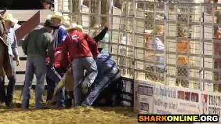 Horse killed at the Cowtown Rodeo [upl. by Isabeau599]