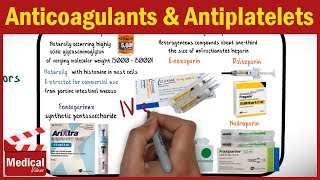 Pharmacology  Anticoagulants and Antiplatelet Drugs FROM A TO Z [upl. by Annahc]