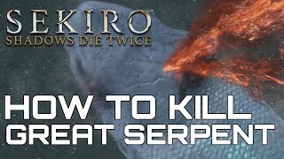 Sekiro Shadows Die Twice HOW TO KILL THE GREAT SERPENT [upl. by Arie801]