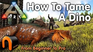 Ark Quick Guides  Megatherium  The 1 Minute Taming Guide [upl. by Laks]