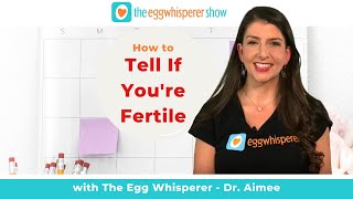 How to Tell If Youre Fertile [upl. by Rheta]