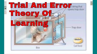 trial and error theory of learning [upl. by Monda]