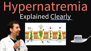 Hypernatremia Explained Clearly  Pathophysiology amp Treatment [upl. by Ramu]