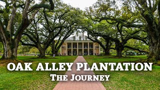 We Visited A Plantation  Oak Alley Plantation Louisiana [upl. by Jamie]