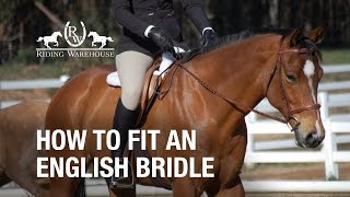 How To Fit an English Bridle on Your Horse [upl. by Calder]