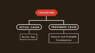 Criminal Law tutorial Causation  quimbeecom [upl. by Berkeley]