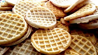 100 Eggo Waffle Challenge [upl. by Nauqyt]