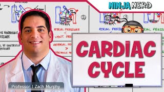 Cardiovascular  Cardiac Cycle [upl. by Ecniuq]