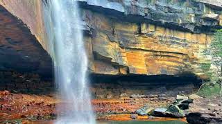 Gerringong Falls at Budderoo National Park Australia [upl. by Shurwood482]