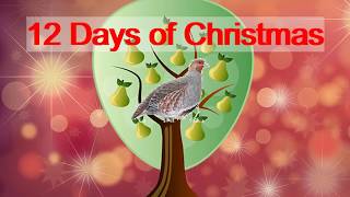 12 DAYS OF CHRISTMAS instrumental with lyrics [upl. by Buskirk281]