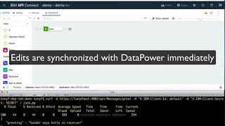 API Policy Development with DataPower in API Connect Toolkit [upl. by Inman]