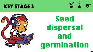 Germination and seed dispersal [upl. by Suivatra839]