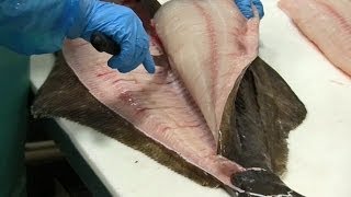 How to Fillet Halibut  a Fishmongers Tutorial [upl. by Ardnajela323]