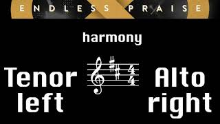 Endless Praise  Harmony Tutorial [upl. by Aeniah]