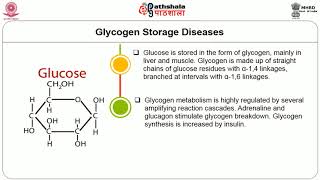 Disorders of Carbohydrate Metabolism [upl. by Norman14]