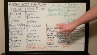 Amino Acid Grouping  Basics for Beginners  Biochemistry Lesson [upl. by Aika]