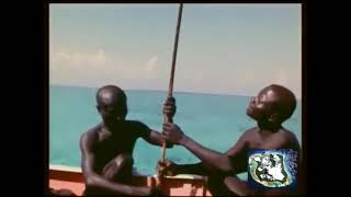 2018  Indian Ocean  North Sentinel Island  The Most Isolated Stone Age Tribe in the World  2311 [upl. by Vedi]