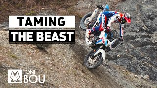 Taming the Beast by Toni Bou 🔥🔥 [upl. by Ahsikym]