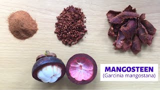 3 Ways to Use Mangosteen Rind  How to Dry Mangosteen Rind  Mangosteen Powder  Xanthone [upl. by Cherida]