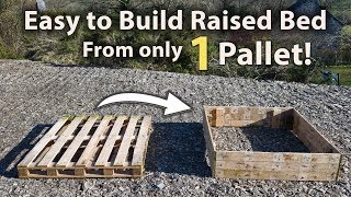 How to Build a Raised Bed from 1 Pallet FREE and Easy [upl. by Zehcnas]