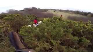 Equestrian Foxhunting in Ireland 2014 Full length Version [upl. by Yelad]