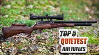 Top 5 Quietest Accurate Air Rifles  Madman Review [upl. by Temp]