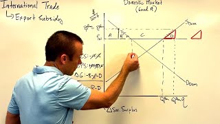 International Trade Export Subsidies [upl. by Aikaj]
