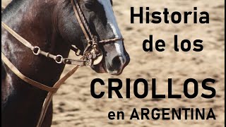 Historia del Caballo Criollo en la Argentina como llega el caballo a las pampas y hasta el hoy [upl. by Kacy]