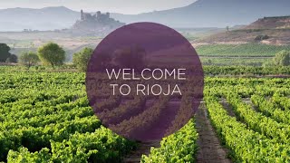 Ultimate Video Guide to the Rioja Wine Region [upl. by Noraa]