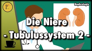 Das Tubulussystem unserer Niere erklärt Diuretika Spironolacton Thiazide HCT Xipamid Teil 2 [upl. by Fesoy599]