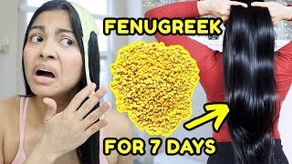 FENUGREEK for 7 days Grow the thickest hair ever before amp after results [upl. by Anitsyrhc]