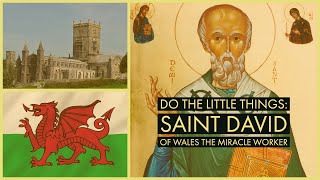 Do the Little Things Saint David of Wales the Miracle Worker [upl. by Anilok]