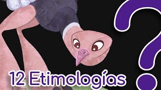 12 Palabras de origen curioso  etimologías [upl. by Reede]