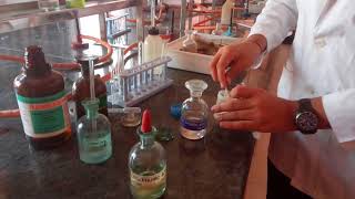 Test for Chloride ion in Lab by Seema MakhijaniNEETJEE prep [upl. by Reinaldos]