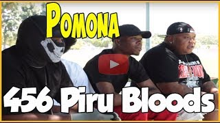 456 Island Piru Bloods at Palomares Park in Pomona CA [upl. by Leinahtam]