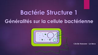 Bactérie Structure 1 BACTERIE [upl. by Eelyam471]