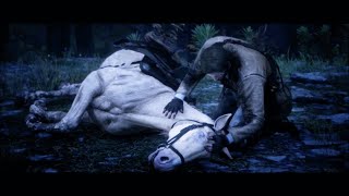 Red Dead Redemption 2  Arthur Morgans horse death scene thank you [upl. by Hsivat]