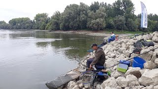 UŽIVO SA VODE  feeder pecanje krupne deverike na Dunavu kod Bezdana [upl. by Guadalupe471]