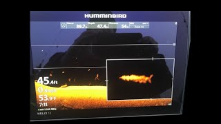 Humminbird Helix 12 GN3 Basic Settings [upl. by Petua]