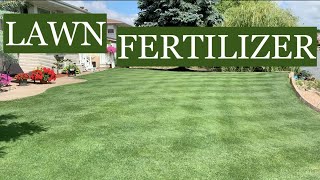 The BEST FERTILIZERS for a THICK GREEN LAWN [upl. by Ralip]