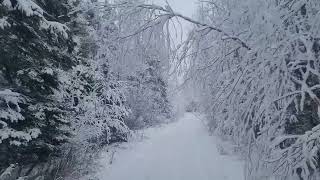 Winter in Manitoba Canada [upl. by Gaelan172]